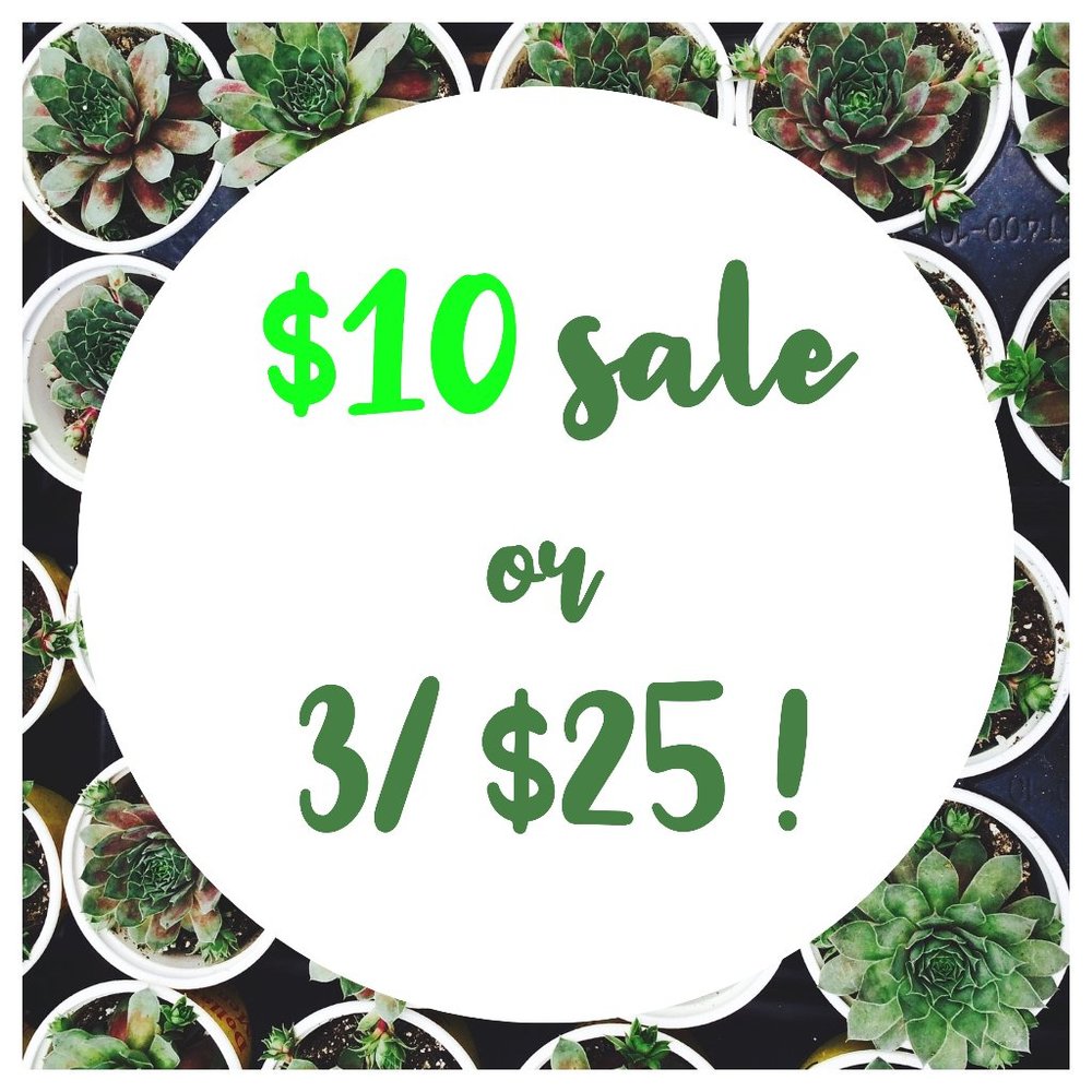 LIMITED TIME ONLY!